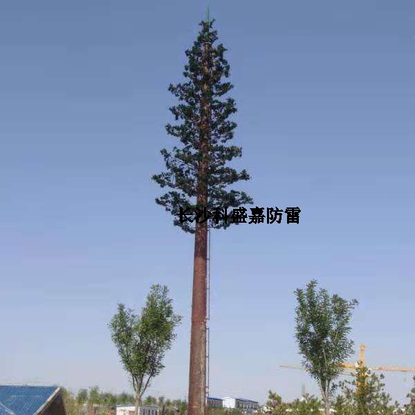 這是什么？看到圖先猜猜再進來，猜對了的都是公雞中的戰斗機